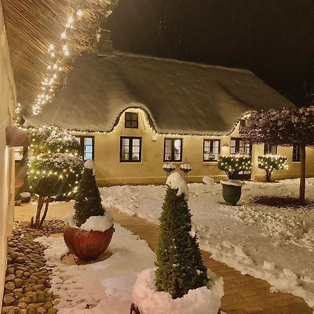 Mindedalen - Idyl Taet Pa Alt Og Helt I Fred Daire Billum Dış mekan fotoğraf