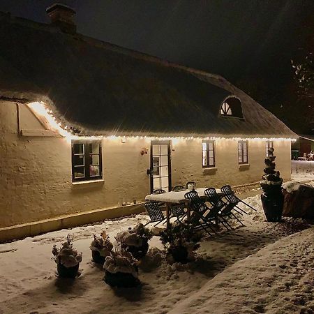 Mindedalen - Idyl Taet Pa Alt Og Helt I Fred Daire Billum Dış mekan fotoğraf